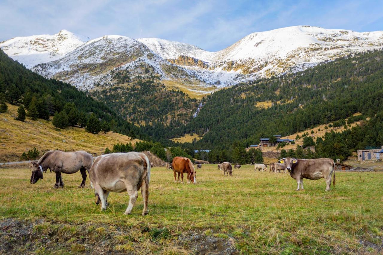 R Valle De Incles-Grandvalira Free Parking Canillo Eksteriør billede